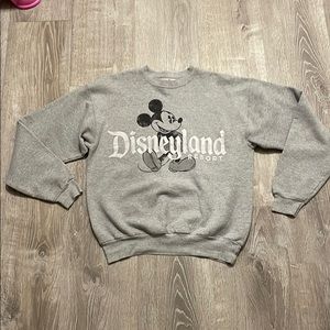 Adult Medium Disneyland Resort Grey sweatshirt